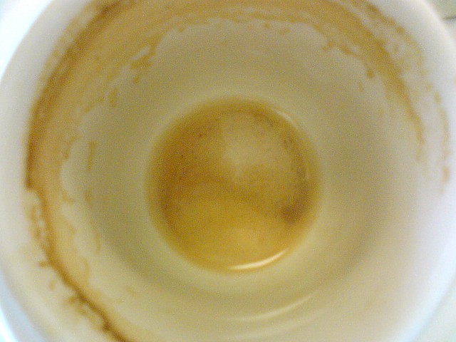 collerette de mousse 