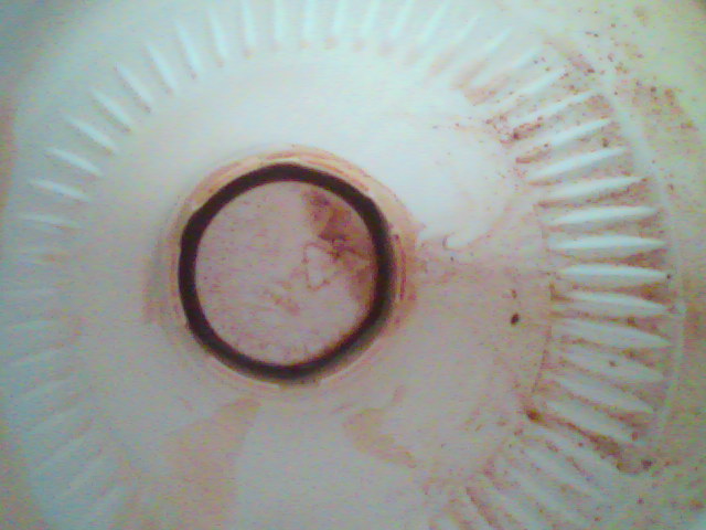 Eclipse de chocolat