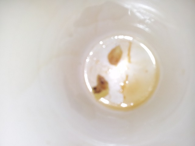 café patate 