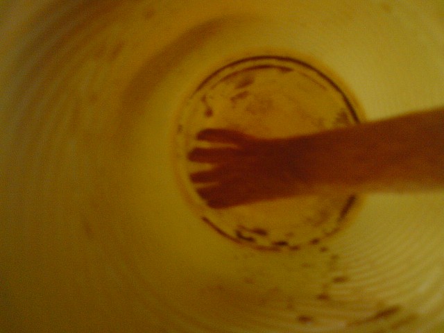 milles pattes de bois
