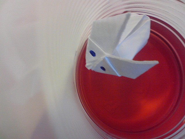 ^^ lapin