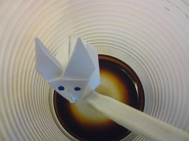 lapin ^^