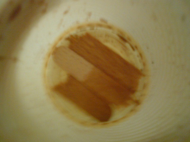 fond de tasse boisé