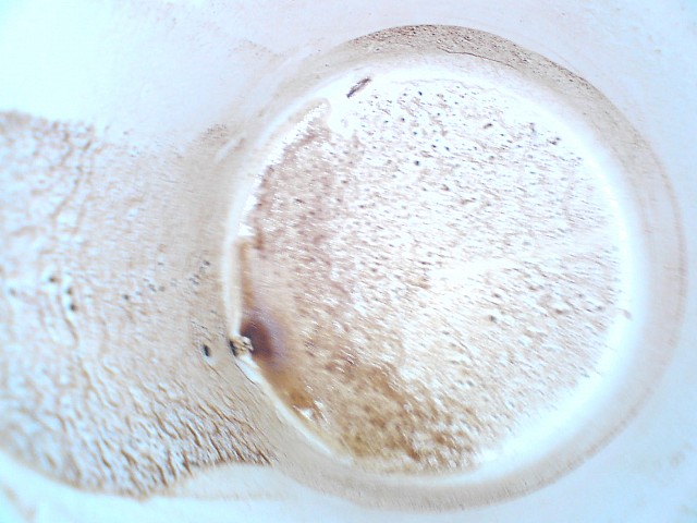 le soleil ... au fond de ma tasse ... arg ...