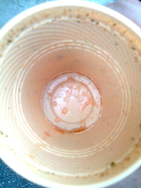 Café. Tomates. Basilic.