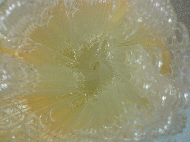 floraison lumineuse