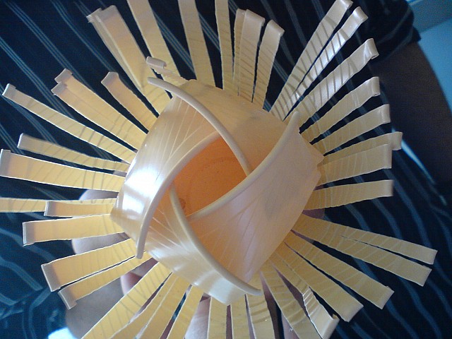 fruit de tasse