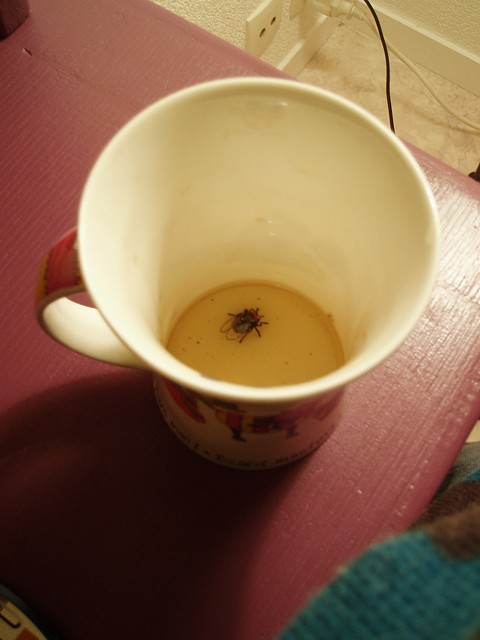 "Mouche-Thé" 
Ou comment se faire gâcher la fin de son super mélange de trois thés anglais (provenance directe d'Asie et d'Afrique en fait mais bon...) par un petit arthropode sans gêne... Le temps qu'elle parte il était tout froid !! ;o)