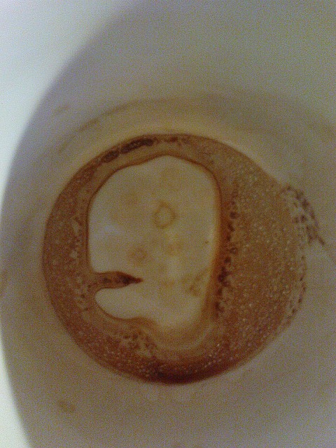 Un survivant de la crise KT a fait son apparition dans le fond de ma tasse :)