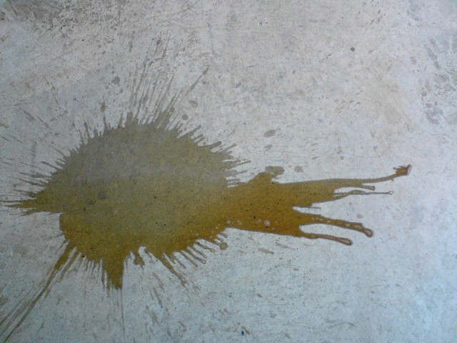 Nautile