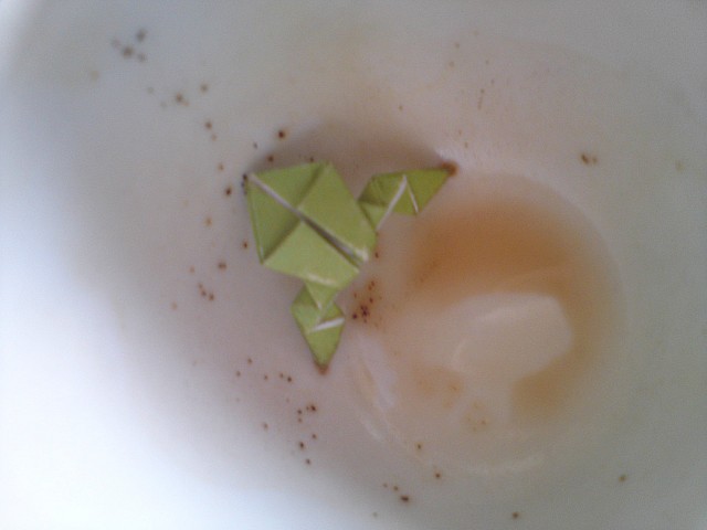 Grenouille printaniere