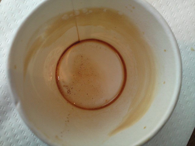 Mais ou est la coccinelle ?