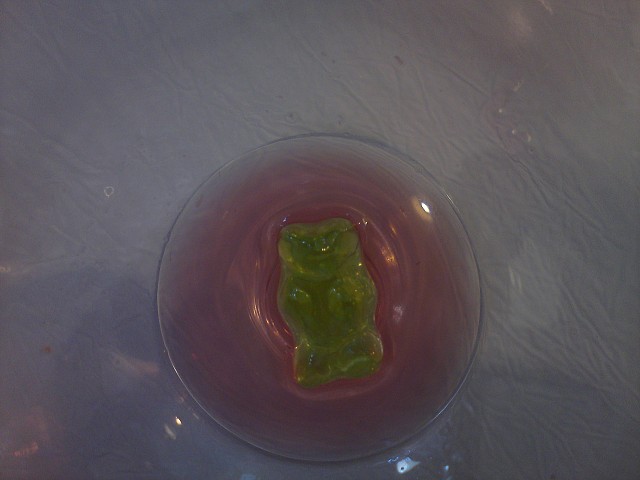 nounours