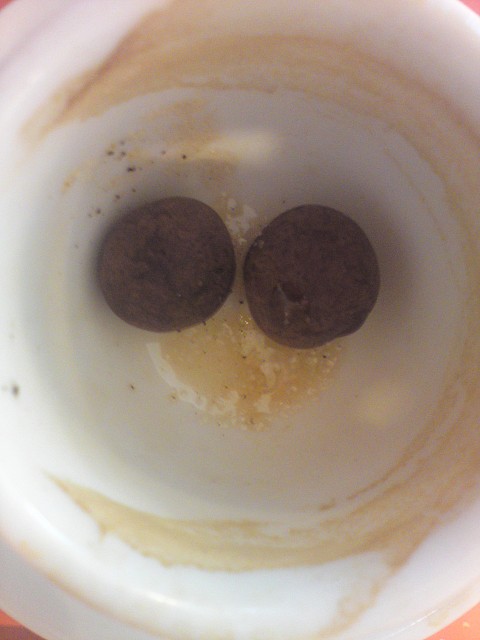 Hibou