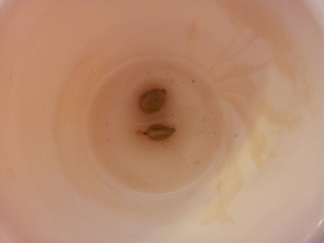 cardamone